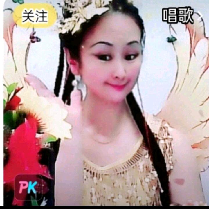 🐒网红金凤凰🐒