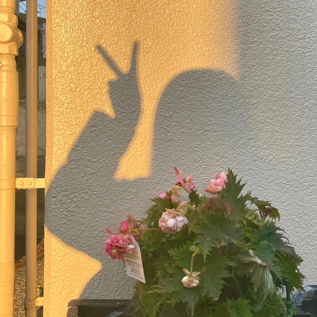 美意学习机测评