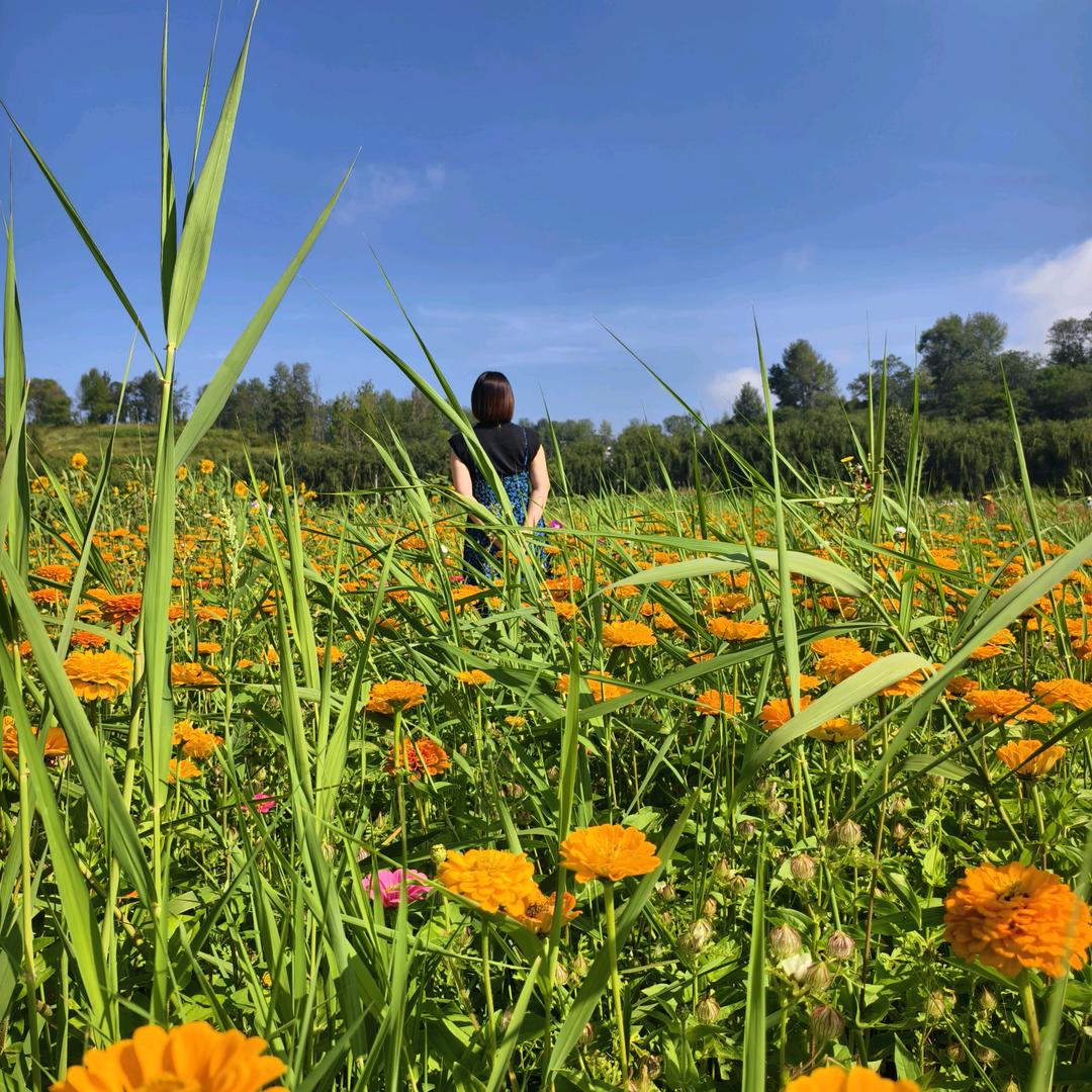 💞ঞ᭄往后໊余生໊ꦿഒᩚ࿐