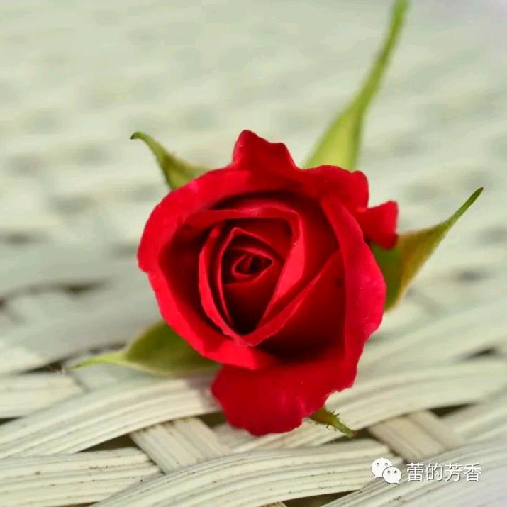 珍惜余生❤️