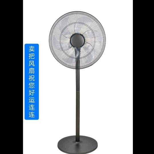 老海