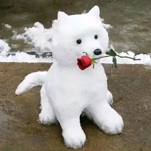 ⚡️独懂我心⚡️