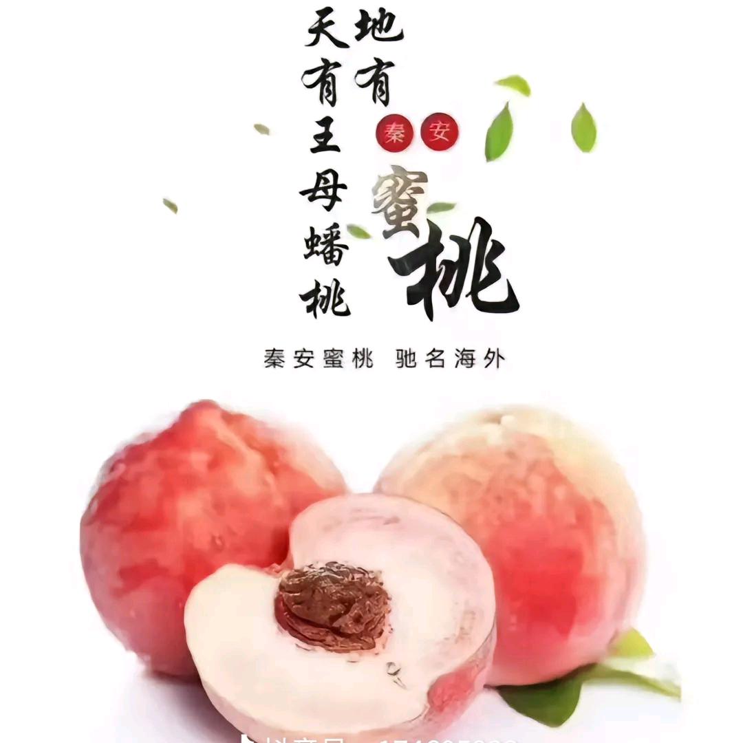 秦安蜜桃