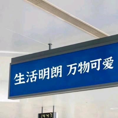 大鲨鱼牙齿