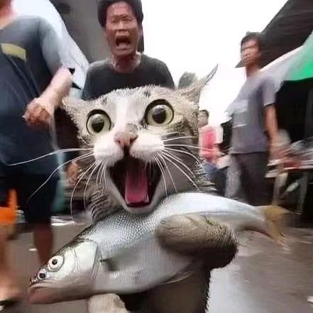 王涛