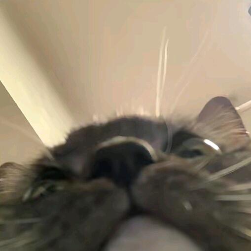 能力越大饭量越大