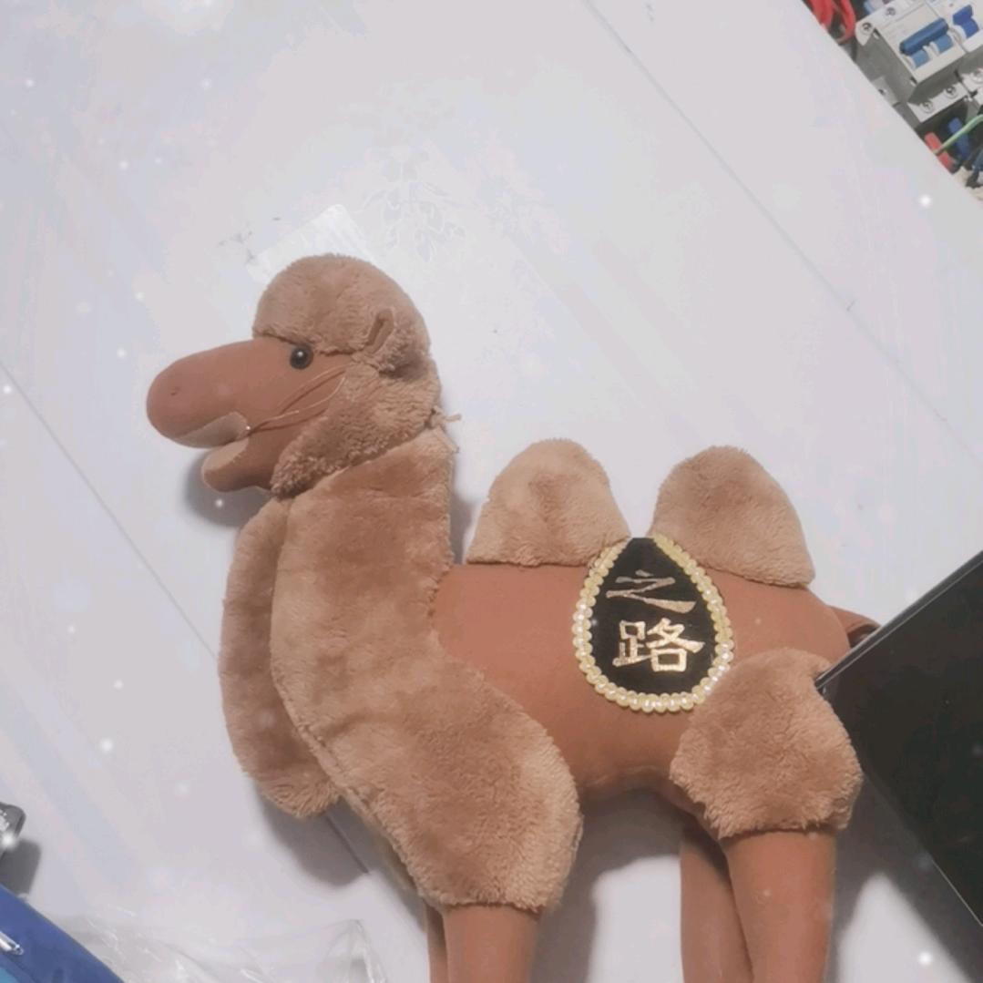 四季如春