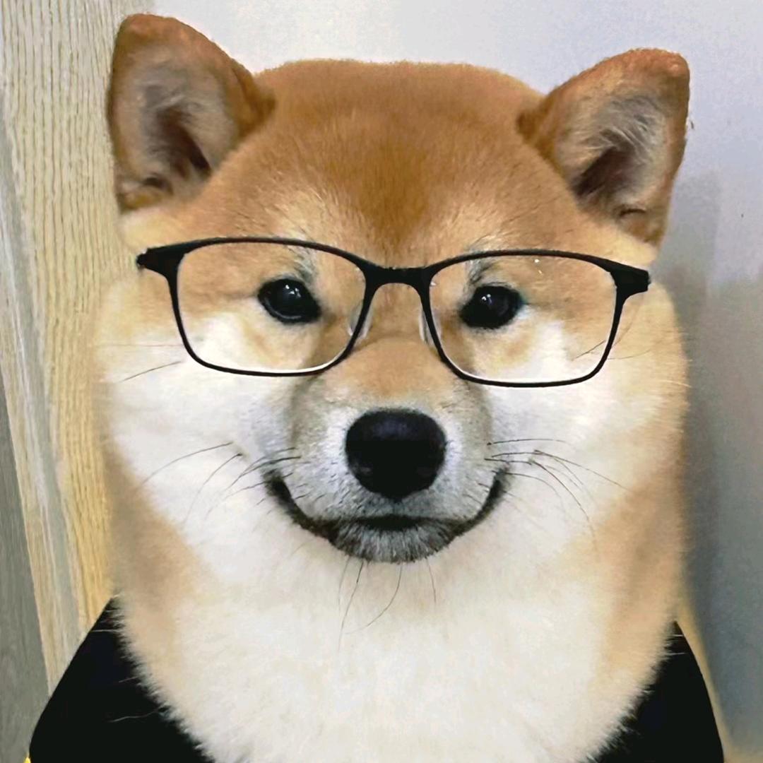 美丽荒唐是朝阳