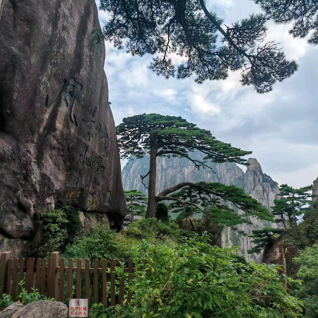 幸福姐