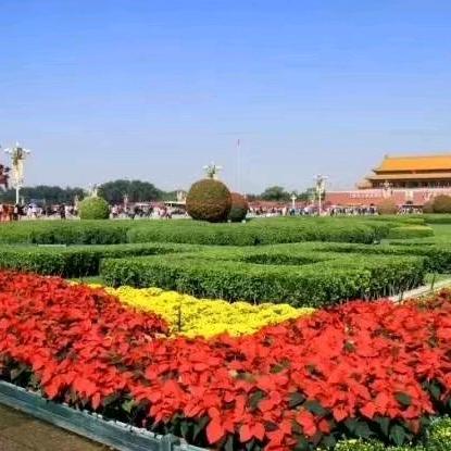 你是我的执着
