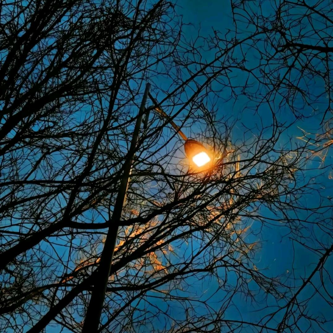 🥀᭄缘꧔ꦿᩚ💕