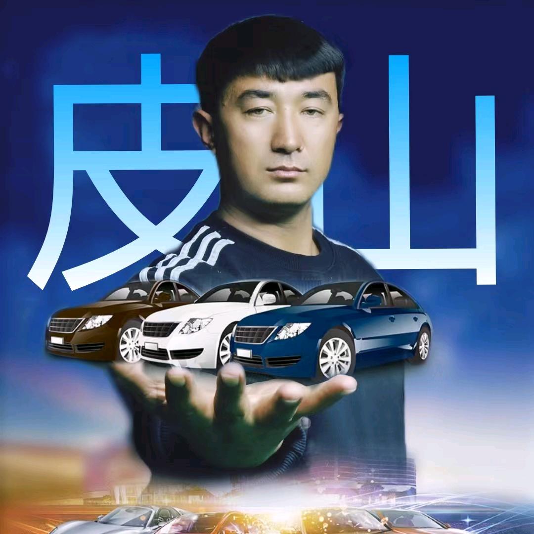 皮山说车