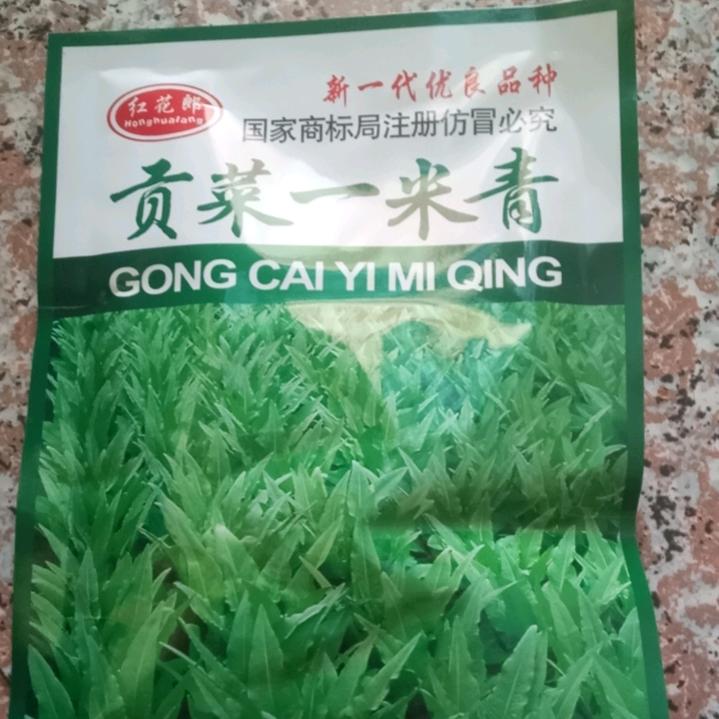 宾川贡菜良种销售