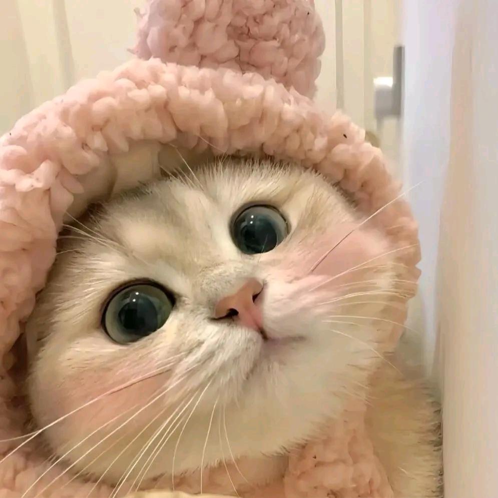 噜啦噜啦啦~(¯▽¯~)