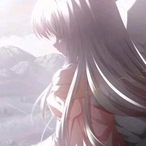 雨田小铺