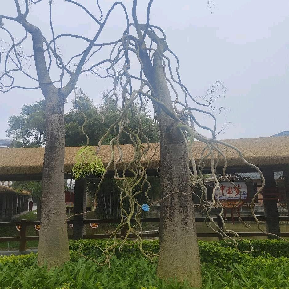 不發脾氣只發財