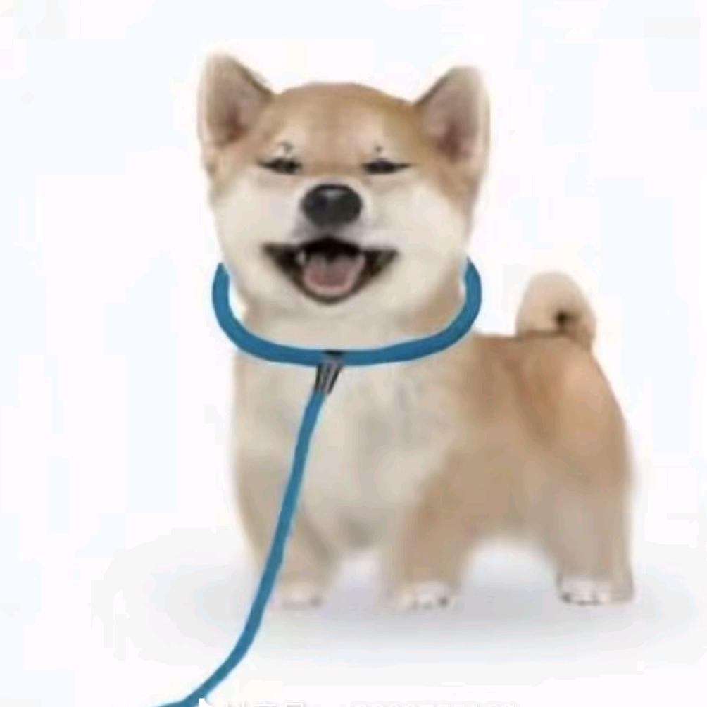 南茶楼