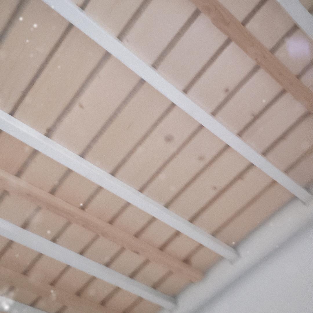 OPPO………………