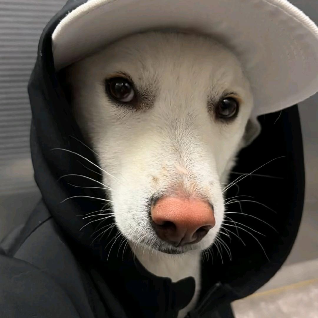 不美也是女ˡᵉ