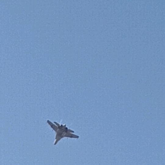 幸  福   野   狼