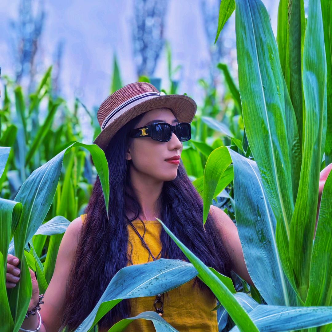 花仙子花艺💐小雪