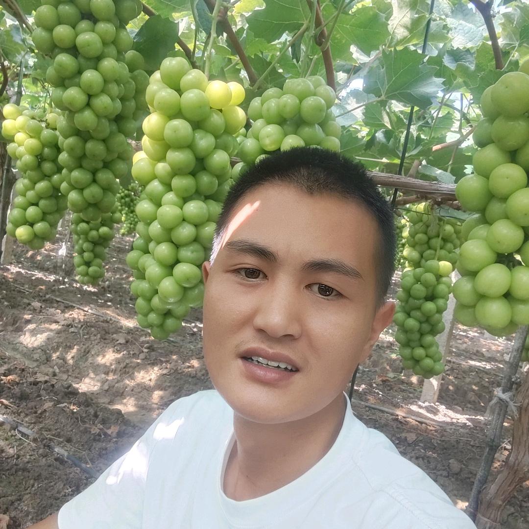 小江果业