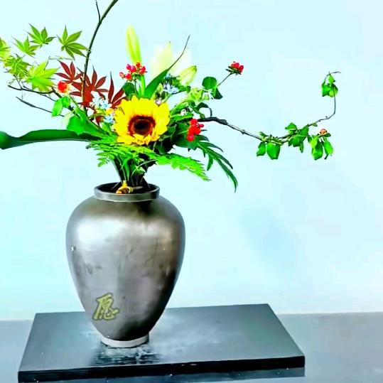 冬旭夏曦一号