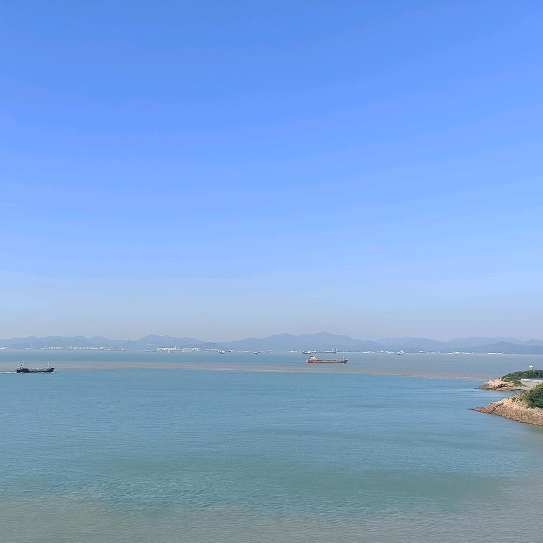 九年