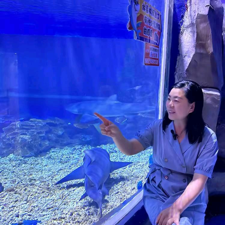 糖豆团购
