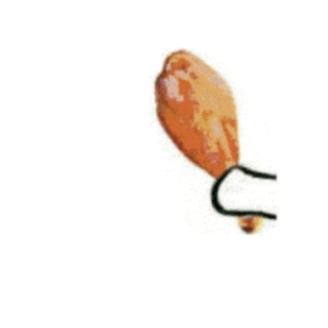 ☘️☘️☘️☘️