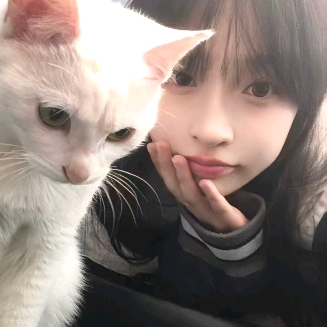 圆圆圈圈ᶻᶻᶻ
