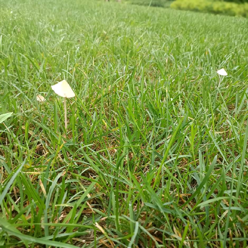 箴颜皮肤管理(林茂街店)