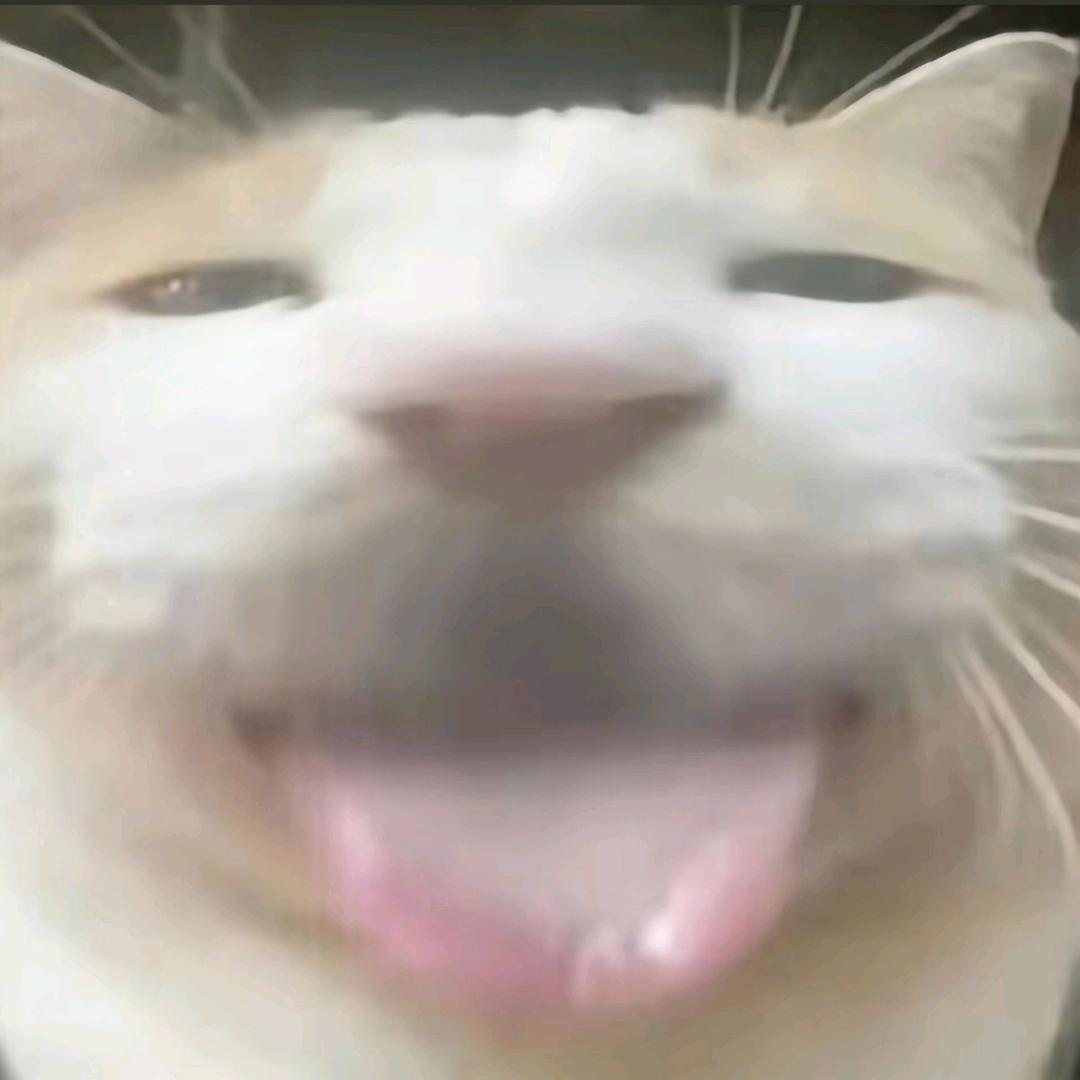𓂺