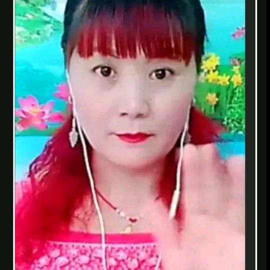 向家小姐姐