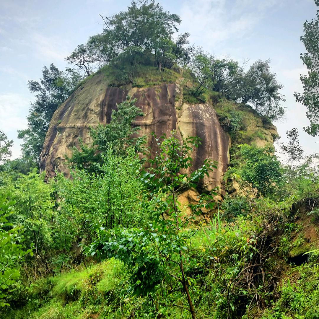 青柠户外（不定时开播）