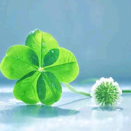 🍁小小心愿🍁