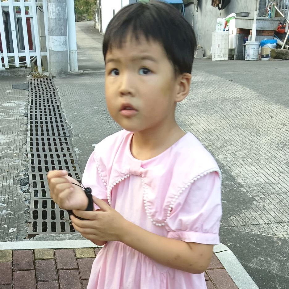 阳光宋
