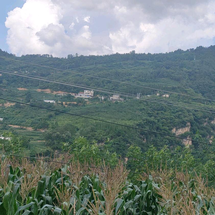 寻找另外一半。