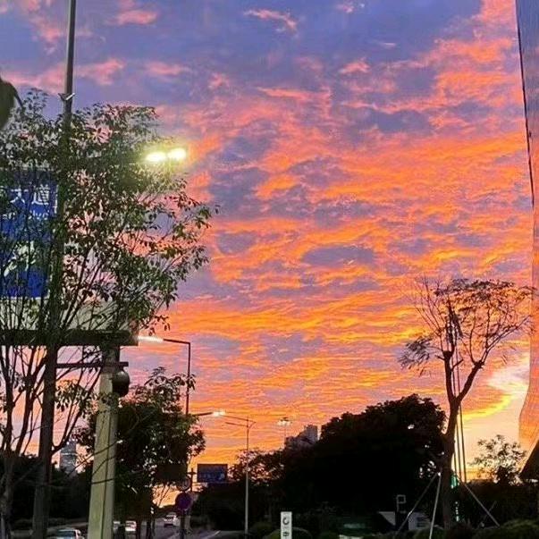 烟雨江南🌊²⁶⁶（缝补版）