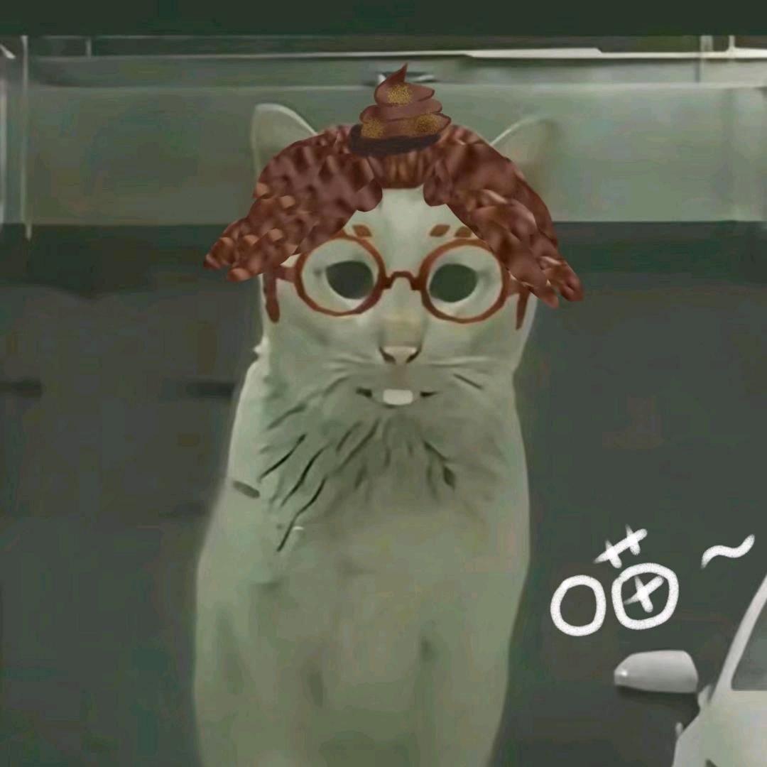 保安🐱