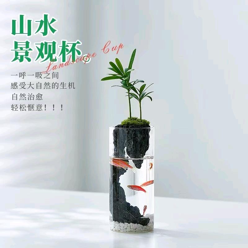 潮植PlantTrend