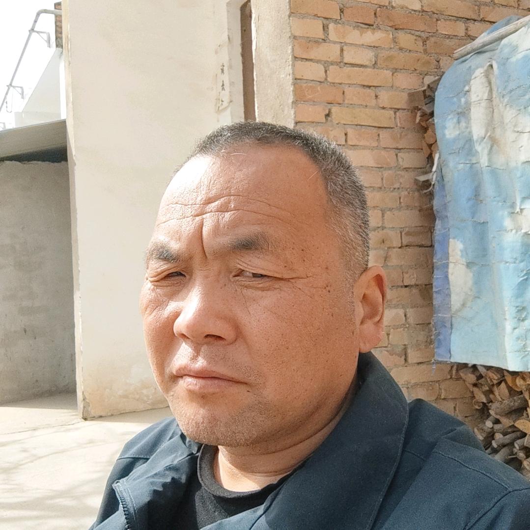 骏马的麻雀