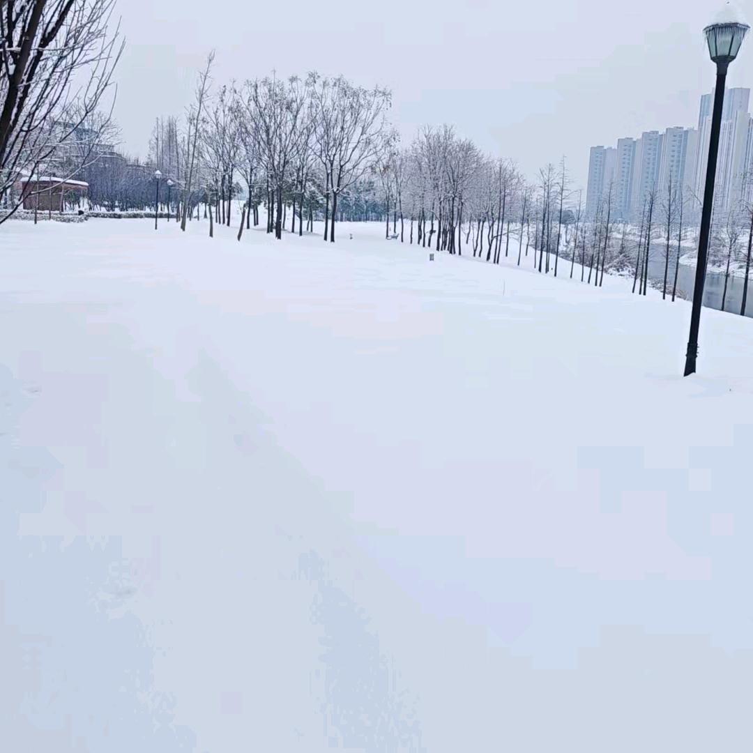 白雪