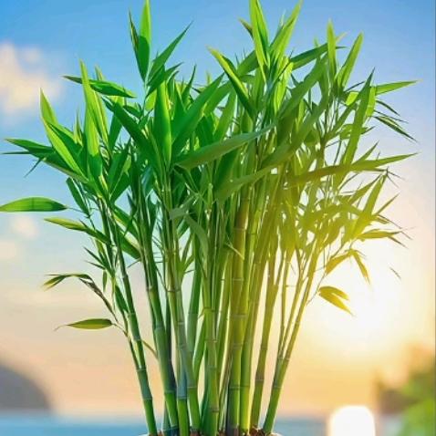 寿县圆珠笔加工(招各乡镇合作伙伴)