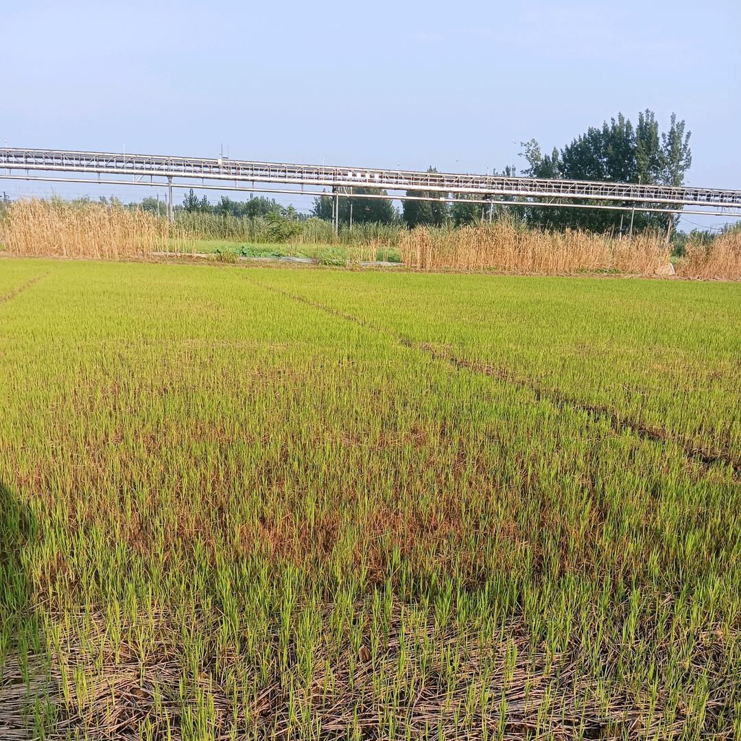 星宇《影视》音乐