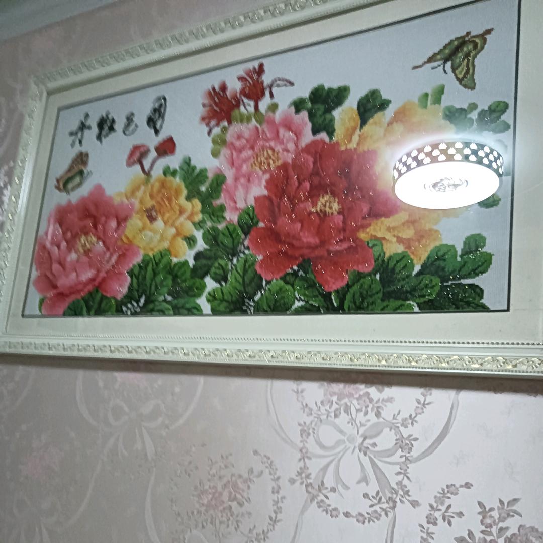 小猪🐷