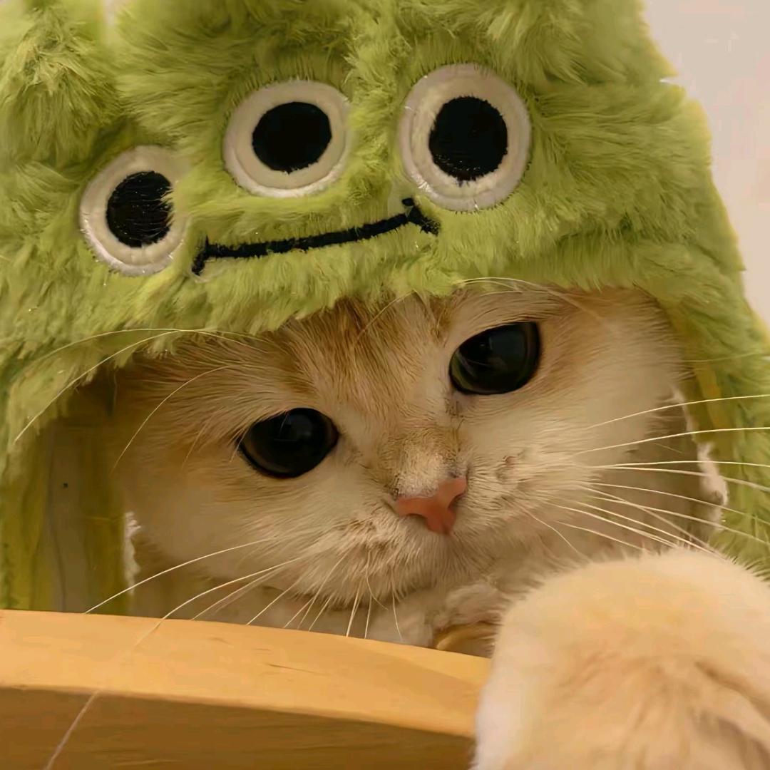 𝗶𝗹𝗹𝘂𝘀𝗷𝗼𝗻～𓏸ᐝ