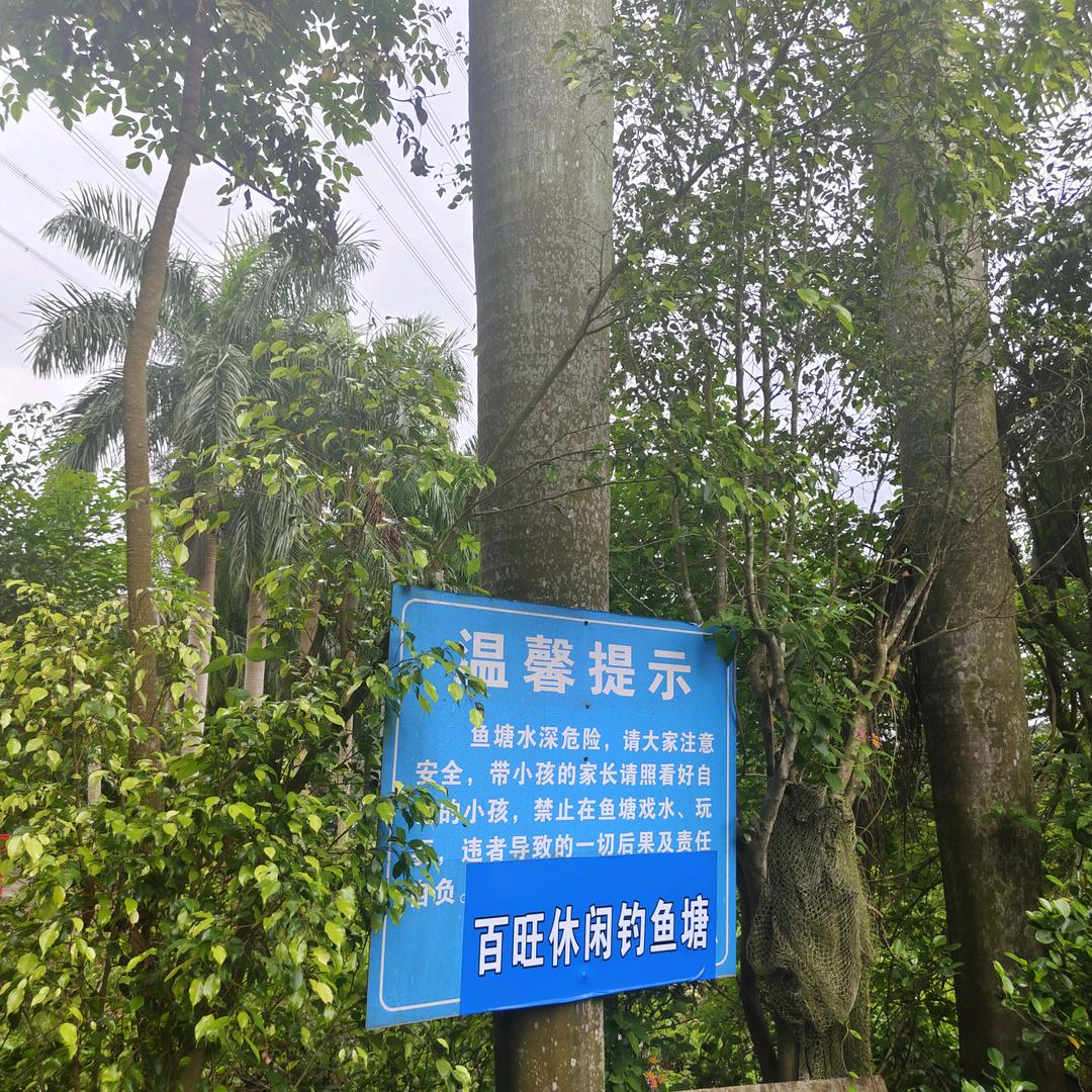 西丽百旺钓鱼场