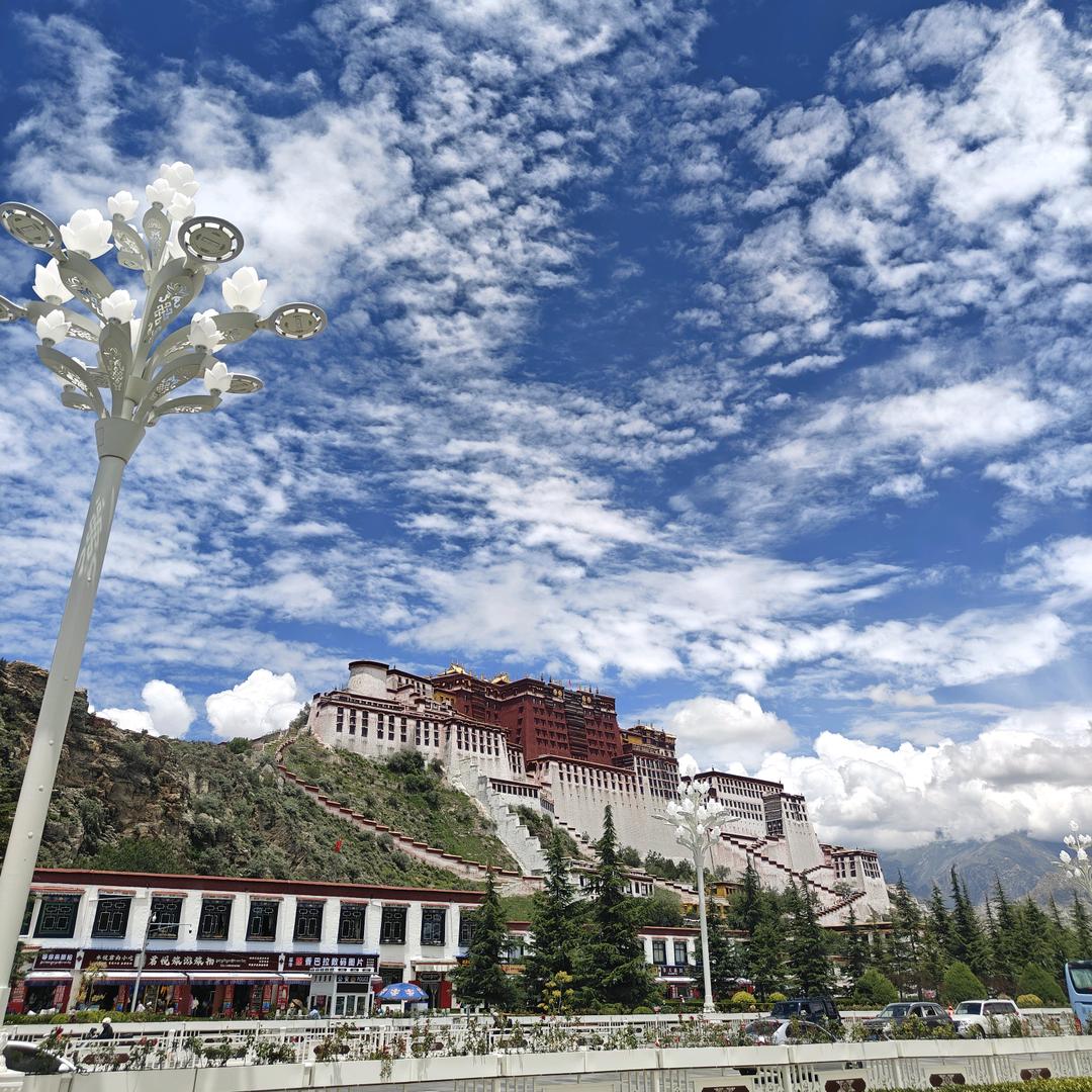 奮鬥•目標•🇨🇳         ╲