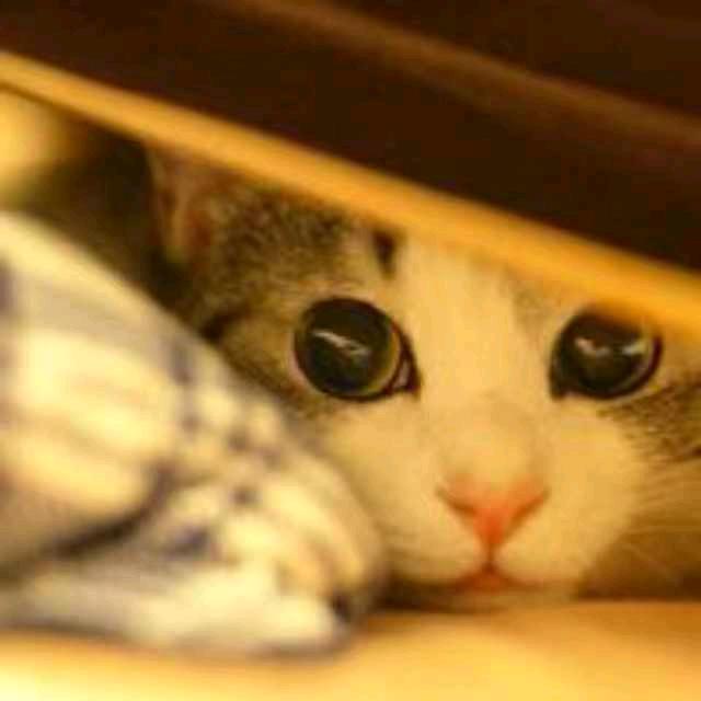 奔跑的蜗牛666666